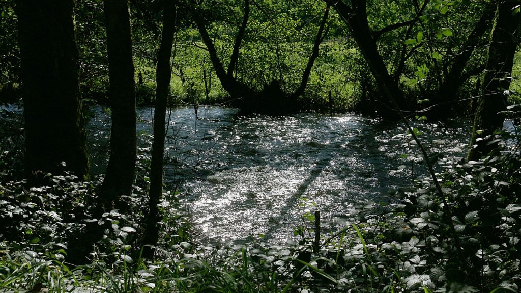 river, reflections, light, water courses, nature, light reflections, contrast, water, reflection, light and shade, shine, morvan