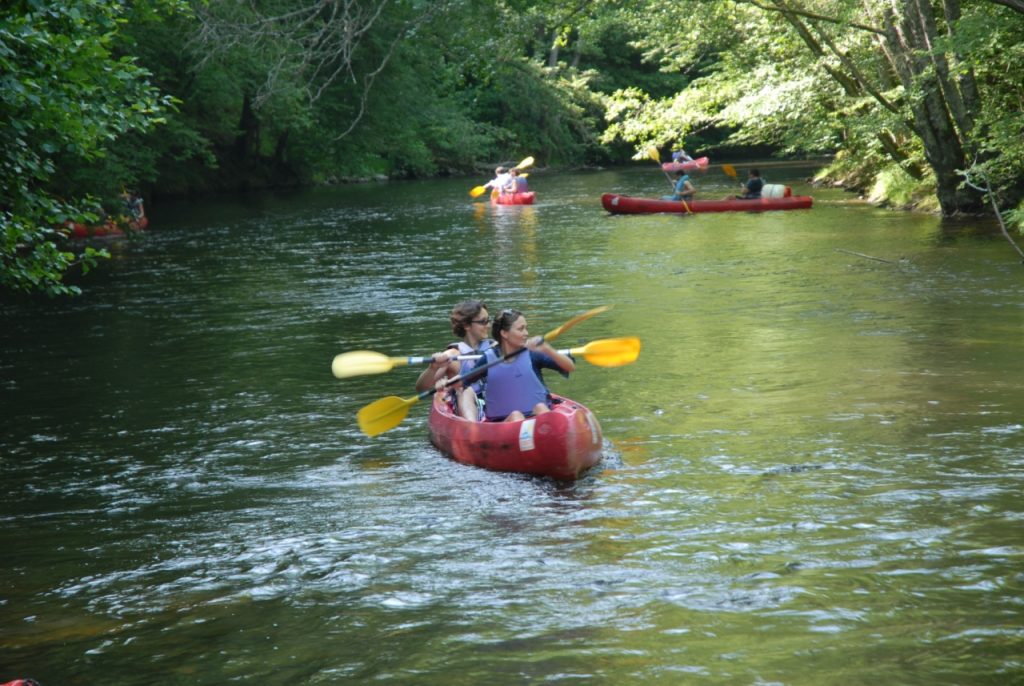 Descente en canoë sur une rivière paisible